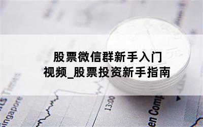  股票微信群新手入门视频_股票投资新手指南