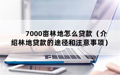 7000亩林地怎么贷款（介绍林地贷款的途径和注意事项）