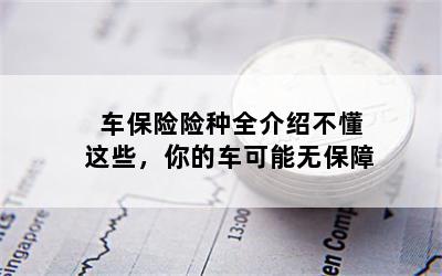 车保险险种全介绍不懂这些，你的车可能无保障