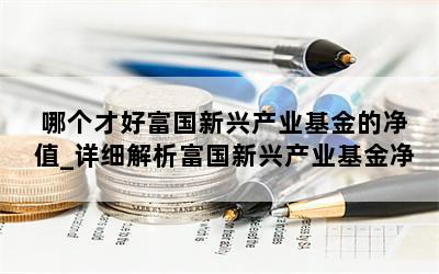 哪个才好富国新兴产业基金的净值_详细解析富国新兴产业基金净值