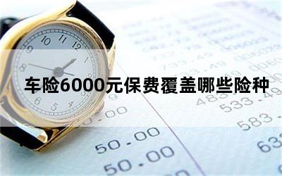 车险6000元保费覆盖哪些险种