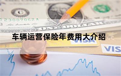 车辆运营保险年费用大介绍