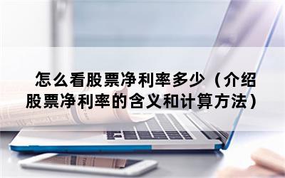 怎么看股票净利率多少（介绍股票净利率的含义和计算方法）