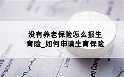 没有养老保险怎么报生育险_如何申请生育保险