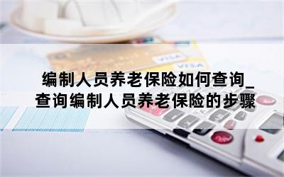 编制人员养老保险如何查询_查询编制人员养老保险的步骤