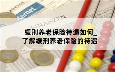 缓刑养老保险待遇如何_了解缓刑养老保险的待遇