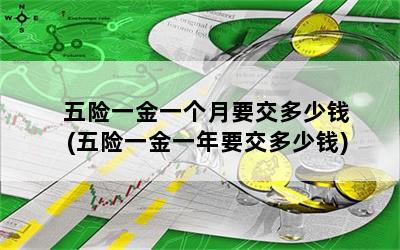 五险一金一个月要交多少钱(五险一金一年要交多少钱)