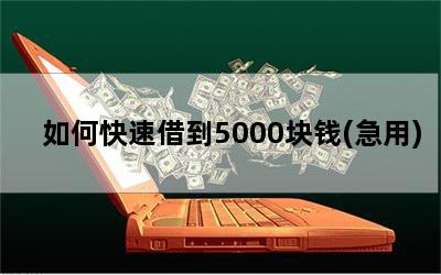 如何快速借到5000块钱(急用)