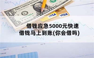 借钱应急5000元快速借钱马上到账(你会借吗)