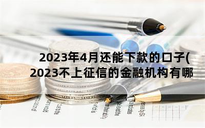 2023年4月还能下款的口子(2023不上征信的金融机构有哪几家)