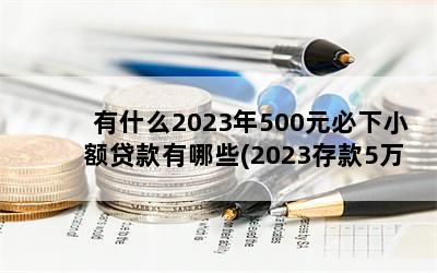 有什么2023年500元必下小额贷款有哪些(2023存款5万元以上规定)