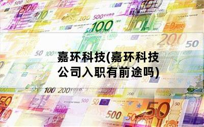 嘉环科技(嘉环科技公司入职有前途吗)