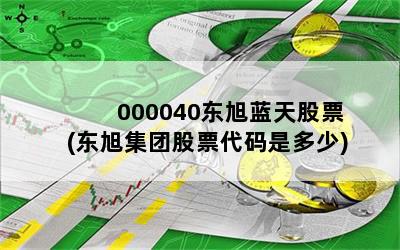 000040东旭蓝天股票(东旭集团股票代码是多少)