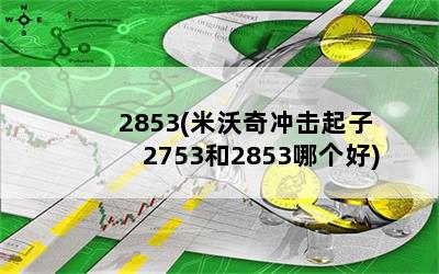 2853(米沃奇冲击起子2753和2853哪个好)