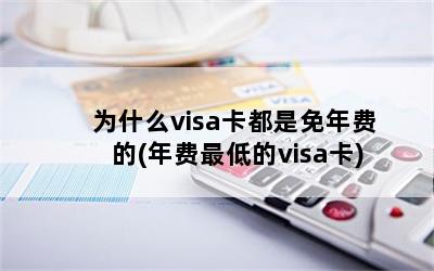 Ϊʲôvisaѵ(͵visa)