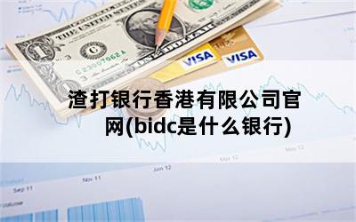 渣打银行香港有限公司官网(bidc是什么银行)