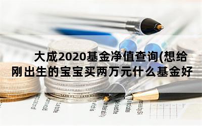 大成2020基金净值查询(想给刚出生的宝宝买两万元什么基金好)