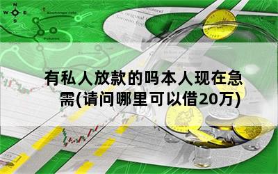 有私人放款的吗本人现在急需(请问哪里可以借20万)