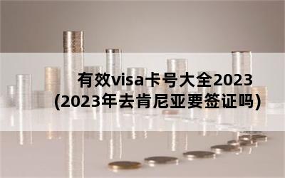 ЧvisaŴȫ2023(2023ȥҪǩ֤)