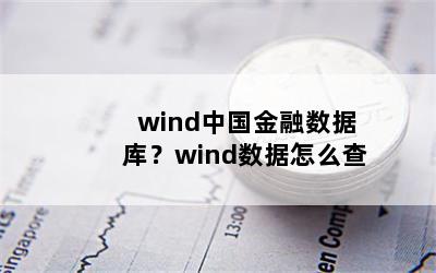 windйݿ⣿windô