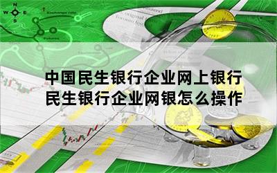 中国民生银行企业网上银行 民生银行企业网银怎么操作
