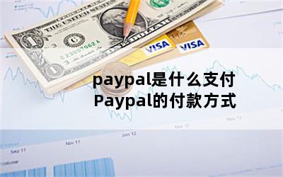 paypalʲô֧ Paypalĸʽ