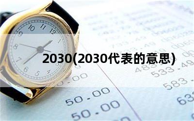 2030(2030˼)