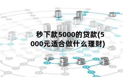 秒下款5000的贷款(5000元适合做什么理财)