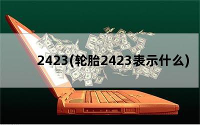 2423(轮胎2423表示什么)