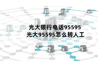 е绰95595 95595ôת˹