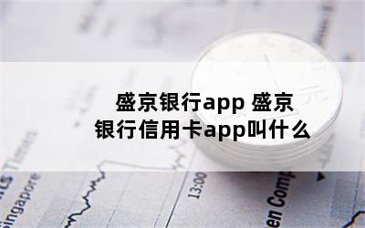 盛京银行app 盛京银行信用卡app叫什么