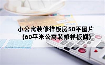 小公寓装修样板房50平图片(60平米公寓装修样板间)