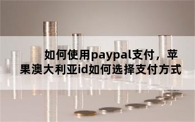 ʹpaypal֧ƻĴidѡ֧ʽ