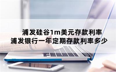 浦发硅谷1m美元存款利率 浦发银行一年定期存款利率多少