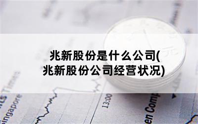 兆新股份是什么公司(兆新股份公司经营状况)