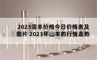 2023۸ռ۸ͼƬ 2023ɽ