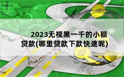 2023无视黑一千的小额贷款(哪里贷款下款快速呢)