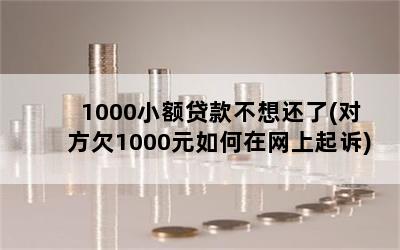 1000小额贷款不想还了(对方欠1000元如何在网上起诉)