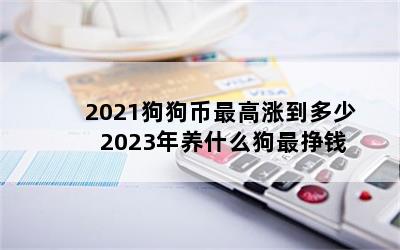 2021ǵ 2023ʲôǮ