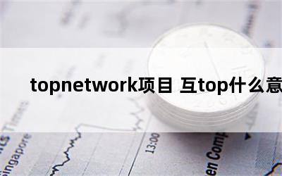 topnetwork项目 互top什么意思