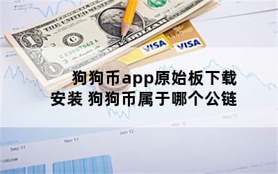 狗狗币app原始板下载安装 狗狗币属于哪个公链