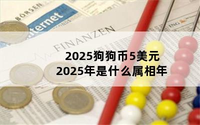 20255Ԫ 2025ʲô