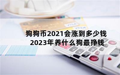 2021ǵǮ 2023ʲôǮ