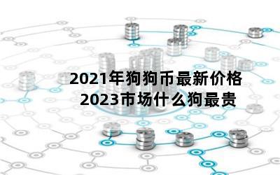 2021깷¼۸ 2023гʲô