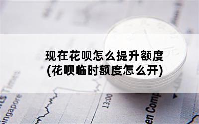 现在花呗怎么提升额度(花呗临时额度怎么开)