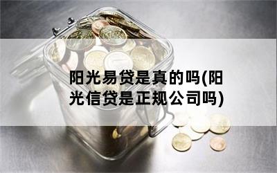 阳光易贷是真的吗(阳光信贷是正规公司吗)