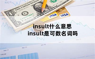 insult什么意思 insult是可数名词吗