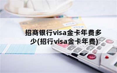 visaѶ(visa)