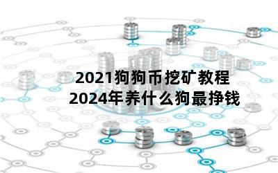 2021ڿ̳ 2024ʲôǮ