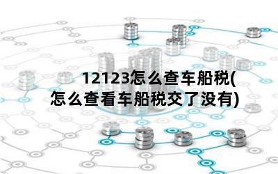 12123怎么查车船税(怎么查看车船税交了没有)